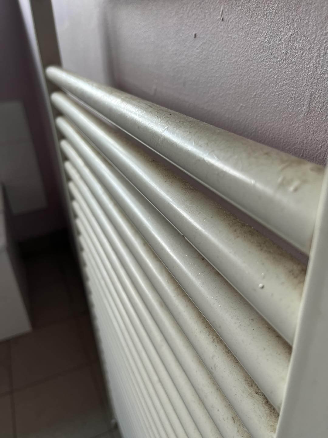 detailschoonmaak2