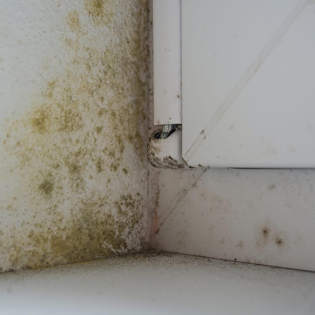 2Clean - Schimmel en vochtbestrijding Schimmelprobleem op de grond